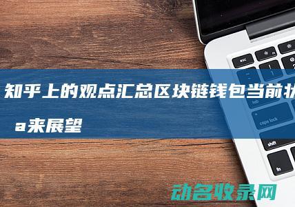 知乎上的观点汇总 区块链钱包当前状态及未来展望 (知乎上的观点真的有用吗)